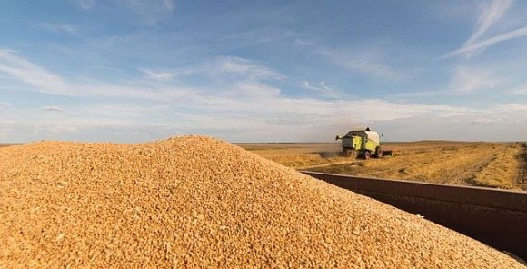 Аграрії Черкащини отримали вищу, ніж торік, врожайність фото, ілюстрація