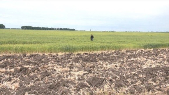 Поля Черкащини потерпають від ґрунтової засухи фото, ілюстрація