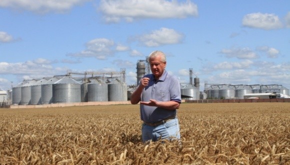 В Чернігівській області зібрали рекордний урожай зернових фото, ілюстрація