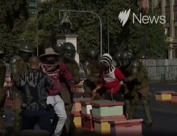 У Чилі поліцейських, які хотіли розігнати мітинг пасічників, покусали бджоли фото, ілюстрація
