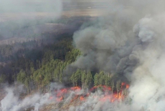 План WWF. Що може зробити влада України для зниження ризиків природних супер-пожеж фото, ілюстрація