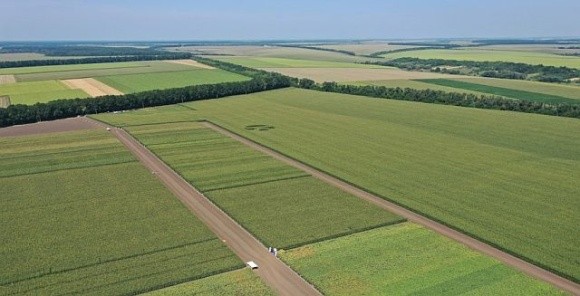 Майже чверть сільськогосподарських земель досі не внесені до кадастру – Шмигаль фото, ілюстрація