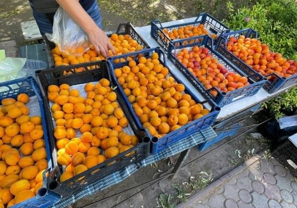 Ціни на перші абрикоси на третину нижчі, ніж минулого року фото, ілюстрація