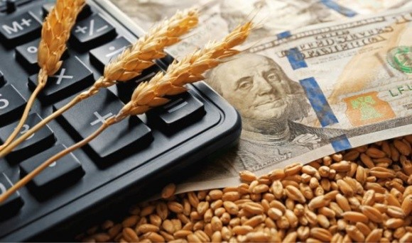 Премія за якісну пшеницю зростає активно як в Україні, так і в Європі фото, ілюстрація