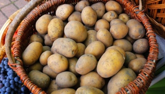 Ціни на картоплю вдвічі вищі, ніж торік, і продовжать зростати фото, ілюстрація
