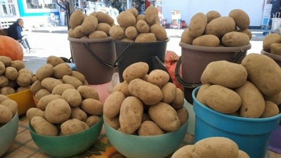Якісної картоплі не залишилось: експерти прогнозують подальше зростання цін фото, ілюстрація
