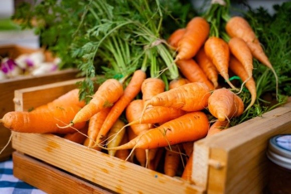Ціни на моркву будуть зростати й надалі фото, ілюстрація