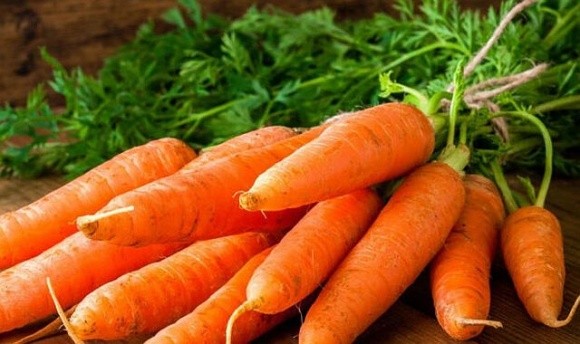 Виробники активно розпродають моркву фото, ілюстрація