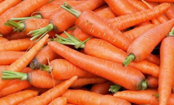 Якісної моркви все менше – ціни все вищі фото, ілюстрація