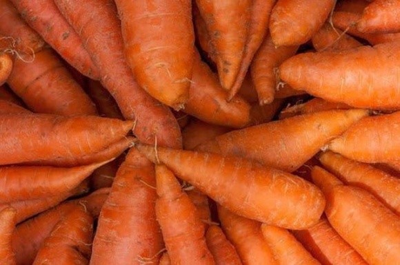 Надлишок моркви на ринку тисне на ціни фото, ілюстрація