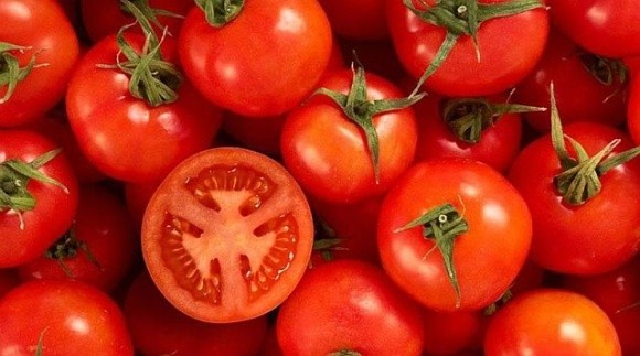 Через низький попит виробники змушені знижувати ціни на помідори фото, ілюстрація