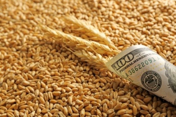 Пролонгація зернової угоди в лютому вплине на ціни на пшеницю, — Олексій Тартаковський фото, ілюстрація