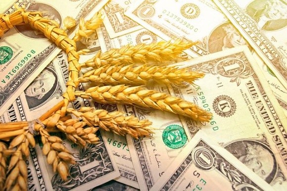 Трейдери очікують зростання цін на пшеницю фото, ілюстрація
