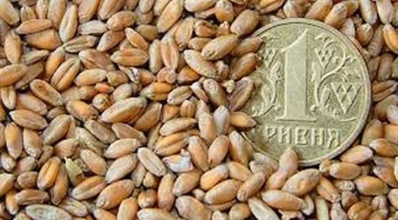 Ціни на пшеницю в українських портах продовжують знижуватись фото, ілюстрація