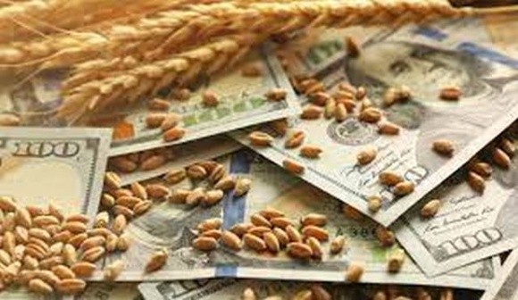 Ціни на українську пшеницю продовжують знижуватись фото, ілюстрація