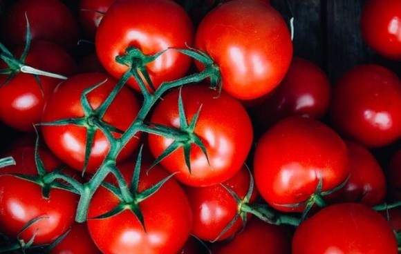 Ціни на тепличні помідори почали стрімко зростати фото, ілюстрація