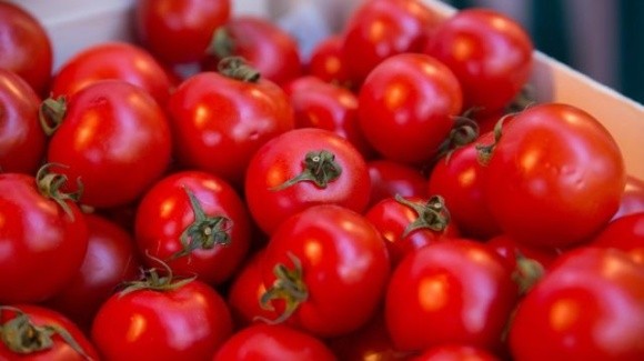 Ціни на тепличні помідори зупинятись не збираються фото, ілюстрація