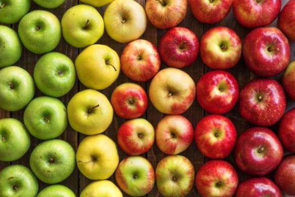 Попри здорожчання логістики та енергоносіїв ціни на яблука будуть низькими фото, ілюстрація