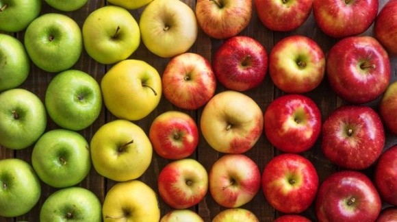 Садівники дочекались зростання цін на яблука фото, ілюстрація