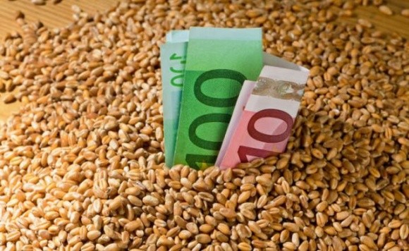 Закриття «зернового коридору» вплине на ціни на зерно наступного сезону, – Микола Горбачьов фото, ілюстрація