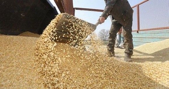 Ціни на зерно впродовж тижня продовжили знижуватись фото, ілюстрація