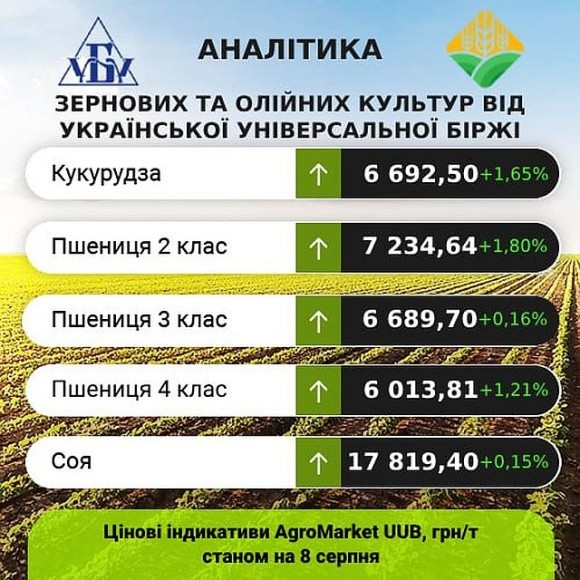 Ціни на зернові залишаються стабільними, незважаючи на занепокоєння щодо посухи та тиск з боку експорту фото, ілюстрація