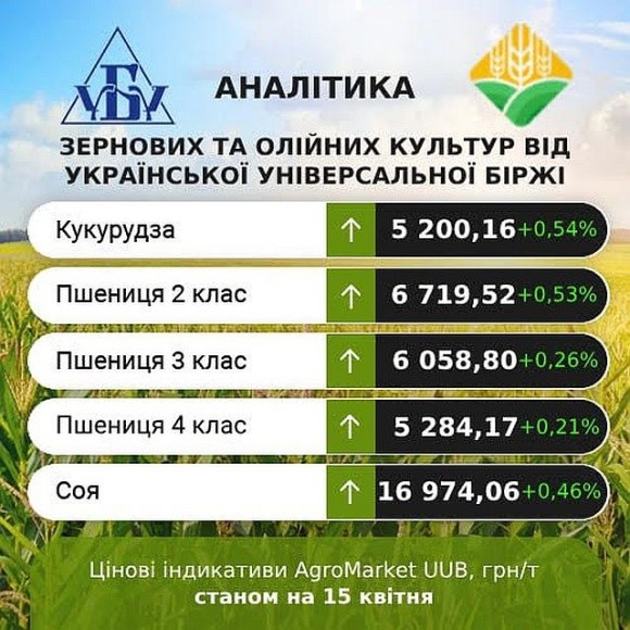 Зростання цін на зернові та олійні уповільнилось фото, ілюстрація