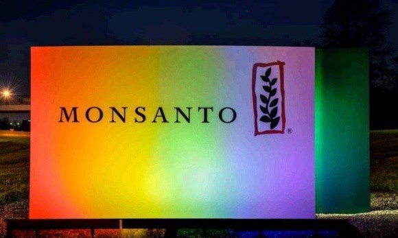 Monsanto і Novozymes Unveil презентували біоінокулянт для кукурудзи фото, ілюстрація