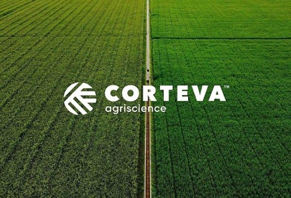 В Україні зростає попит на насіння передової генетики бренду Pioneer® та інноваційні засоби захисту рослин від Corteva Agriscience фото, ілюстрація