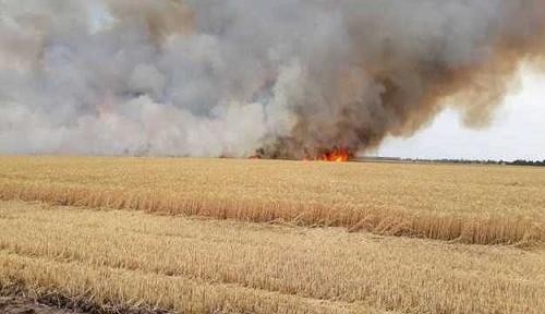 Не своє, не шкода: окупанти в ВРДО підпалюють трасерами поля з пшеницею фото, ілюстрація