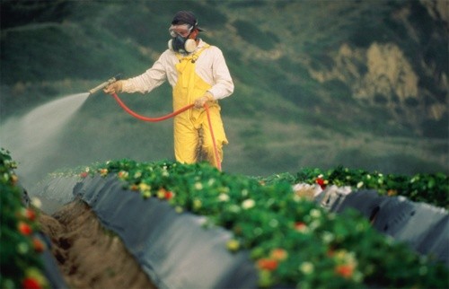 Ще один крок до безпечної утилізації пестицидів зроблено фото, ілюстрація