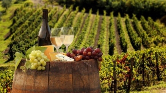 У виноградарів та виноробів з'явиться професійне свято фото, ілюстрація