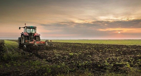 Державний фонд підтримки виплатив фермерам 404,6 млн грн фото, ілюстрація