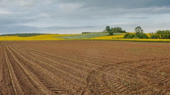 Державні сільгоспземлі засіяні, проте збиткові, – Ярослав Ярославський фото, ілюстрація