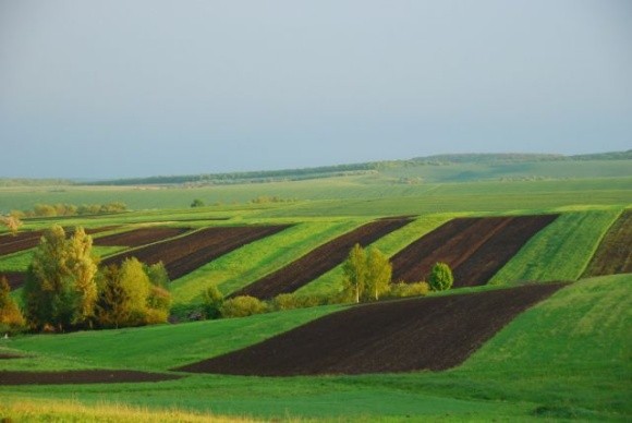 Державні землі сільськогосподарського призначення будуть використовуватись ефективніше фото, ілюстрація