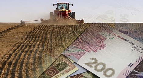 Укрдержфонд оголосив конкурс на отримання фінансової підтримки фермерським господарствам фото, ілюстрація