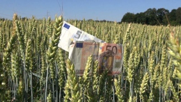 Нідерланди виділили 50 млн євро на розмінування та допомогу українським фермерам фото, ілюстрація