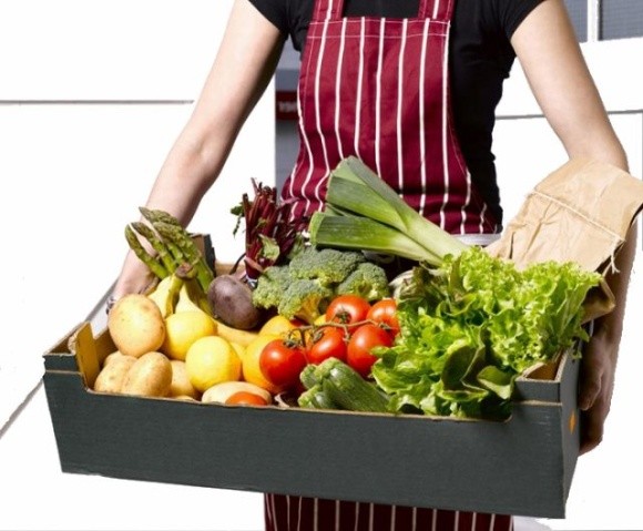 Український сервіс доставки овочів та фруктів OVO залучив $150 тис. інвестицій фото, ілюстрація
