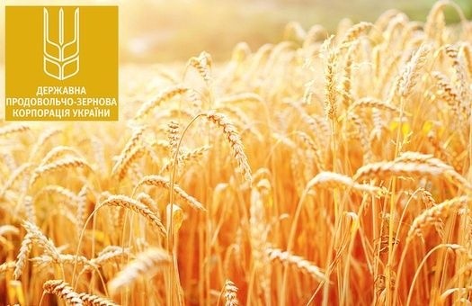 ДПЗКУ наростила обсяги закупівель озимих пшениці та ячменю врожаю 2018 року фото, ілюстрація