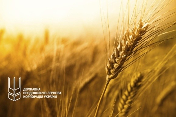 Державна зернова корпорація розпочала весняну форвардну програму фото, ілюстрація