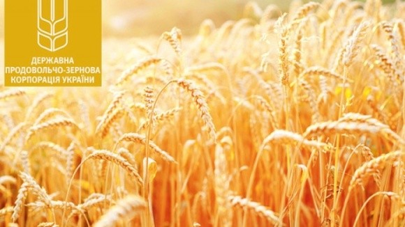 До кінця січня ДПЗКУ законтрактує 50 тис. тонн зерна майбутнього врожаю фото, ілюстрація