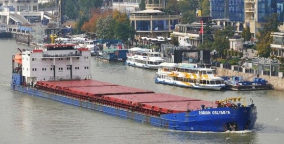 Дунайські порти збільшили логістику втричі, головний вантаж — зерно фото, ілюстрація