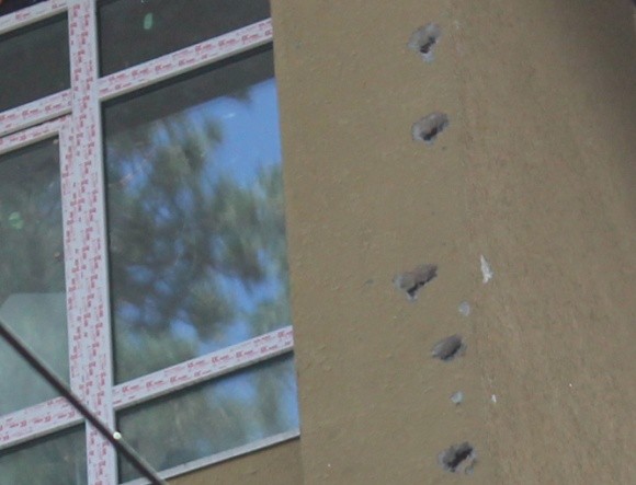 В Ирпене дятлы "дуплятся" в стенах новостроек (ФОТО) фото, иллюстрация