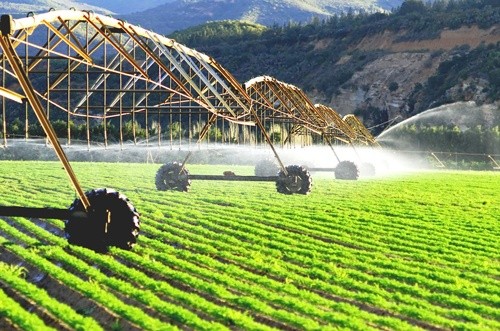 Фонд зеленого клімату виділить ФАО $35 млн. на пом'якшення наслідків зміни клімату для сільського господарства  фото, ілюстрація