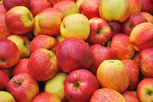 Українські яблука: імпорт зменшується, а модель експорту змінюється фото, ілюстрація