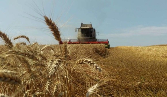 Аграрії Миколаївщини та Одещини зібрали по першому мільйону тонн ранніх зернових фото, ілюстрація