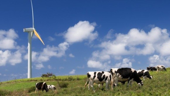 «Єврокомісія поставила фермерів у становище худоби, яка чекає на забій», — лідер фермерів ЄС фото, ілюстрація