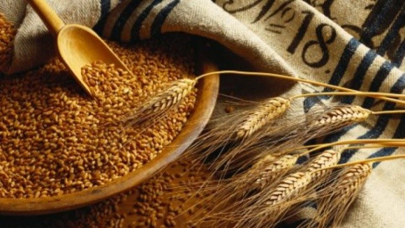 У квітні обсяги експорту зернових з України скоротилися через кукурудзу фото, ілюстрація