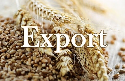 Україна потрапила до топ-2 за валютною виручкою від експорту зерна — експерт  фото, ілюстрація