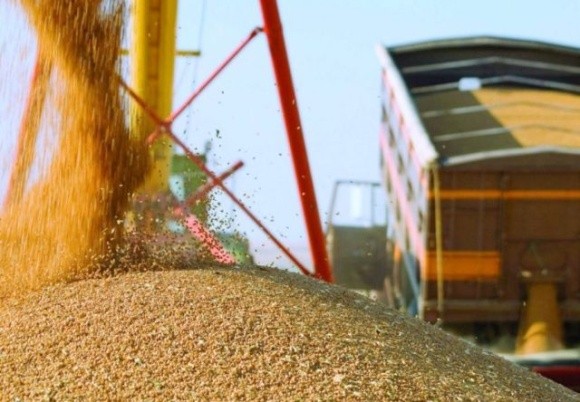 Варіанти відновлення експорту вітчизняного зерна через українські морські порти від Тараса Висоцького фото, ілюстрація